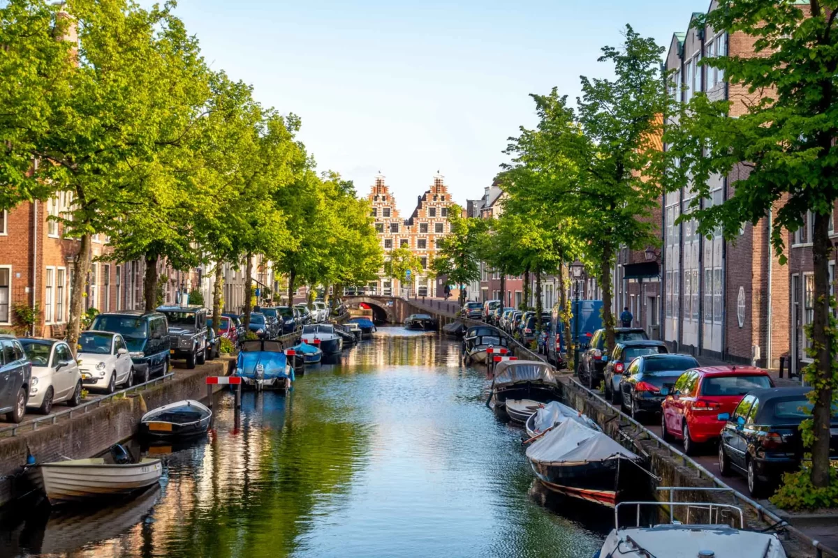 Stroll the Streets of Historic Haarlem